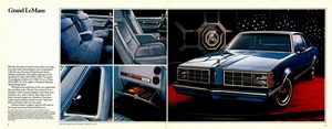1978 Pontiac LeMans (Cdn)-08-09.jpg